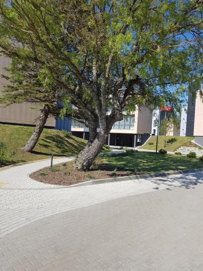 Apartamentai Su Vaizdu I Jura Palanga Exterior photo